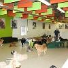 24_3_additional image.jpg image